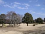 昭和の森公園の写真のサムネイル写真10