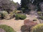 昭和の森公園の写真のサムネイル写真13