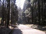 昭和の森公園の写真のサムネイル写真19