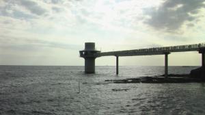 勝浦海中展望塔の写真4