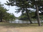 富津公園の写真のサムネイル写真6