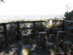 館山野鳥の森の写真のサムネイル写真8