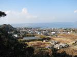 館山野鳥の森の写真のサムネイル写真10