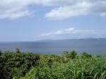 洲崎灯台の写真のサムネイル写真5