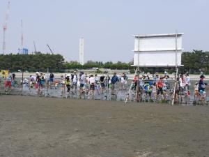 【潮干狩り】ふなばし三番瀬海浜公園で潮干狩り！の写真24
