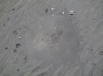 【干潟で遊ぶ】ふなばし三番瀬海浜公園の干潟で生き物さがし！。の写真のサムネイル写真20