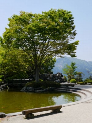 桜山公園の写真15