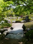 桜山公園の写真のサムネイル写真22