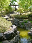 桜山公園の写真のサムネイル写真23