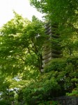 桜山公園の写真のサムネイル写真25