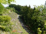 桜山公園の写真のサムネイル写真28