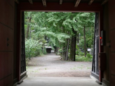 長楽寺の写真5