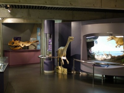 神流町恐竜センターの写真4