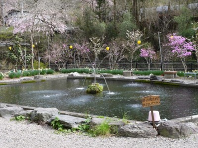 鮎川魚苑の写真5