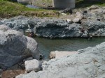 青岩公園で川遊び！の写真のサムネイル写真4
