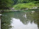 【川遊び】小平河川公園で、川遊び！水中カメラで小魚捕獲！の写真のサムネイル写真31
