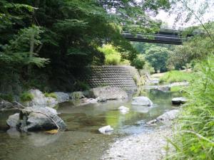 【川遊び】小平河川公園で、川遊びしていたら蛇登場！の写真24
