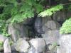 大串貝塚ふれあい公園の写真のサムネイル写真19