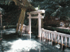 鹿島神宮の写真のサムネイル写真1