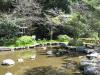 鹿島神宮の写真のサムネイル写真21