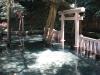 鹿島神宮の写真のサムネイル写真24