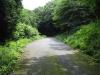 水戸市森林公園の写真のサムネイル写真6