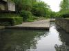 水戸市植物園の写真のサムネイル写真5
