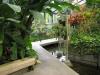水戸市植物園の写真のサムネイル写真24