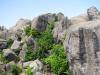 筑波山ハイキング（女体山）の写真のサムネイル写真23