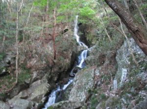 七ッ滝の写真