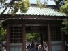 高徳院（鎌倉大仏）の写真のサムネイル写真2