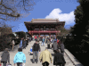 鶴岡八幡宮の写真のサムネイル写真1