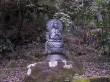 箱根彫刻の森美術館の写真のサムネイル写真14