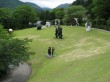 箱根彫刻の森美術館の写真のサムネイル写真18