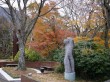 箱根彫刻の森美術館の写真のサムネイル写真38