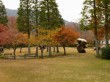 箱根彫刻の森美術館の写真のサムネイル写真39