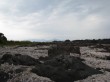 真鶴岬三ツ石の写真のサムネイル写真9