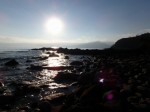 真鶴岬三ツ石の写真のサムネイル写真20