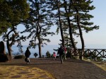 真鶴岬三ツ石の写真のサムネイル写真21