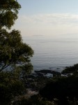 真鶴岬三ツ石の写真のサムネイル写真26