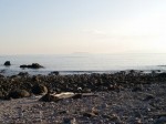 真鶴岬三ツ石の写真のサムネイル写真34