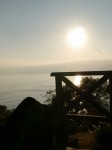 真鶴岬三ツ石の写真のサムネイル写真37