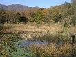 箱根湿生花園の写真のサムネイル写真6