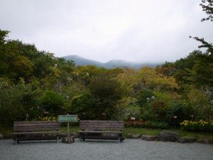 箱根湿生花園の写真13