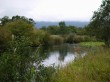 箱根湿生花園の写真のサムネイル写真24