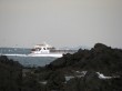 真鶴半島遊覧船の写真のサムネイル写真1