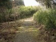 箱根の森の写真のサムネイル写真1