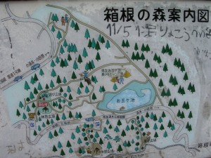箱根の森の写真2
