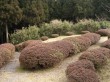 箱根の森の写真のサムネイル写真3
