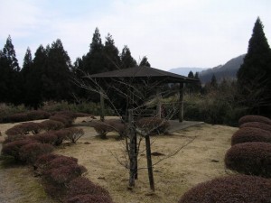 箱根の森の写真4